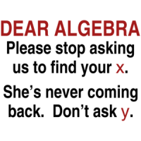 Dear Algebra...  Shirt