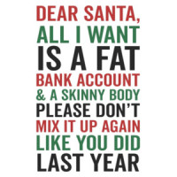 Dear Santa, all I want is a fat bank account - funny Christmas T-Shirt