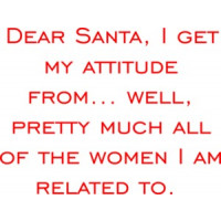 Dear Santa, I get my attitude from... well, pretty much all of the women I am related to. Funny Christmas T-Shirt