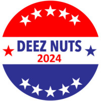 Deez Nuts 2024 - 2024 Election T-Shirt