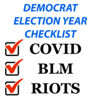 Democrat Election Year Checklist - Funny Political T-Shirt