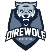 Direwolf - Winterfell - Game of Thrones T-Shirt
