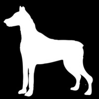 Doberman Pinscher T-Shirt