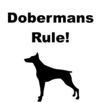 Dobermans Rule! - Doberman Pinscher T-Shirt