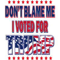 Don't blame me I voted for trump - election 2024 t-shirt