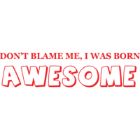 Don't Blame Me I Was Born Awesome T-shirt 