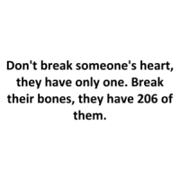 Don't break someone's heart, they have only one. Break their bones, they have 206 of them. Shirt