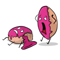 Donut Panic - funny donut pun t-shirt