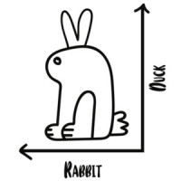 Duck Rabbit Graph - Which one do you see? Funny T-Shirt