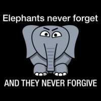 Elephants never forget and they never forgive t-shirt