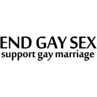 End Gay Sex, Support Gay Marriage Shirt