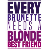 Every brunette needs a blonde best friend - funny t-shirt