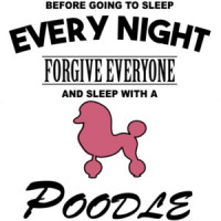 Every night forgive everyone and sleep with a poodle - poodle t-shirt