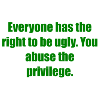 Everyone has the right to be ugly. You abuse the privilege. Shirt