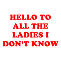 HELLO TO ALL THE LADIES I DON'T KNOW Shirt