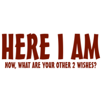 Here I Am Now What Are Your Other 2 Wishes T-shirt