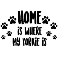 Home is where my yorkie is - Yorkie / Yorkshire Terrier T-Shirt