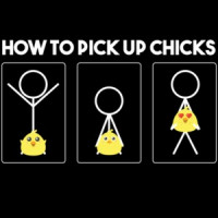 How to pick up chicks - funny t-shirt