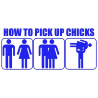 How To Pick Up Chicks Shirt