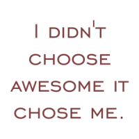 I didn't choose awesome it chose me. Shirt