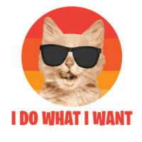 I do what I want Funny Cat T-Shirt