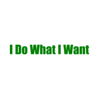 I Do What I Want T-Shirt