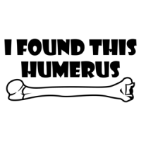 I Found This Humerus Funny Shirt