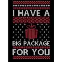 I Have a Big Package For You Ugly Christmas Sweater