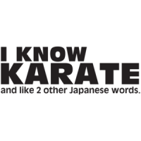 I Know Karate, And Like 2 Other Japanese Words T-shirt