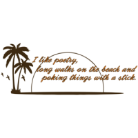 I Like Poetry, Long Walks On The Beach And Poking Things With A Stick Funny T-shirt