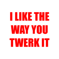I LIKE THE WAY YOU TWERK IT Shirt