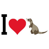 I love (heart) ferrets - ferret t-shirt
