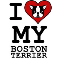 I love my boston terrier - boston terrier t-shirt