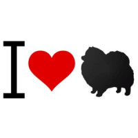 I love Pomeranian - Pomeranian T-Shirt