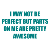 I MAY NOT BE PERFECT BUT PARTS ON ME ARE PRETTY AWESOME Shirt