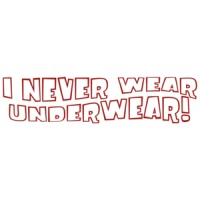 I Never Wear Underwear T-shirt