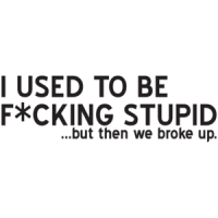 I Used To Be F*cking Stupid...but Then We Broke Up T-shirt