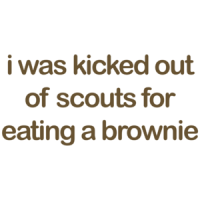 I Was Kicked Out Of Scouts For Eating A Brownie T-shirt