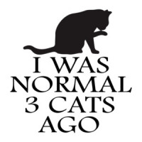 I was normal 3 cats ago - funny cat t-shirt