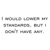 I would lower my standards, but i don't have any. Shirt