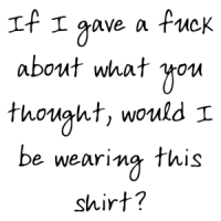 If I gave a fuck about what you thought, would I be wearing this shirt? Shirt