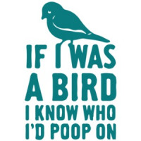 If I was a bird I know who I'd poop on T-Shirt