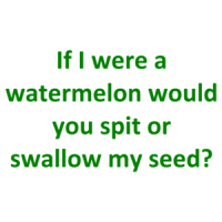 If I were a watermelon would you spit or swallow my seed? Shirt
