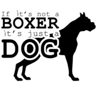 If it's not a boxer it's just a dog - boxer t-shirt
