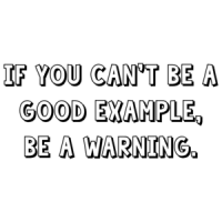 If you can't be a good example, be a warning. Shirt