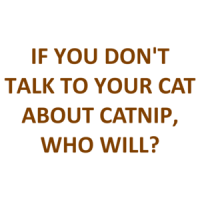 IF YOU DON'T TALK TO YOUR CAT ABOUT CATNIP, WHO WILL? Shirt