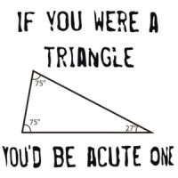 If you were a triangle you'd be acute one. Funny T-Shirt