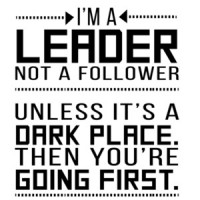 I'm a leader not a follower. Unless it's a dark place. T-Shirt
