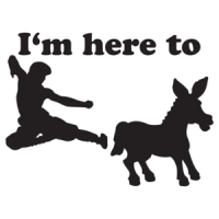 I'm Here To Kick Ass T-shirt