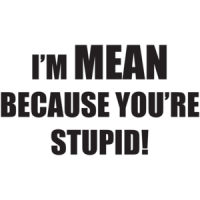 I'm Mean Because You're Stupid T-shirt
